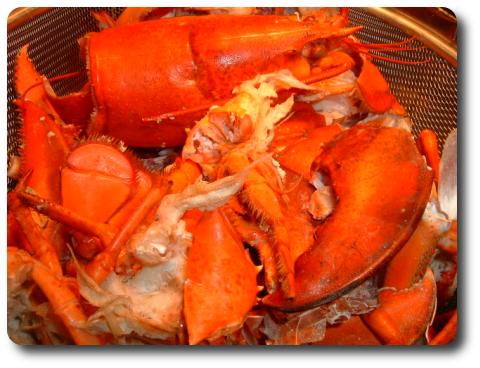 homard.jpg